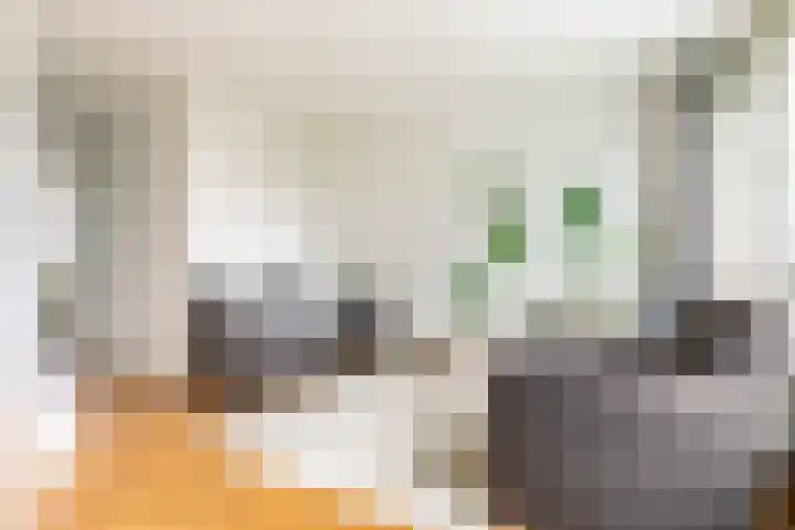 Veldzigtlaan 124 Haarlem thumbnail 6