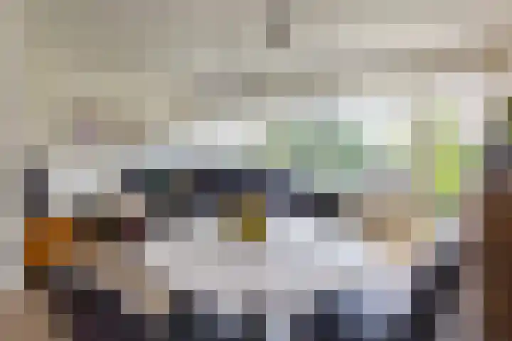 Veldzigtlaan 138 Haarlem thumbnail 10