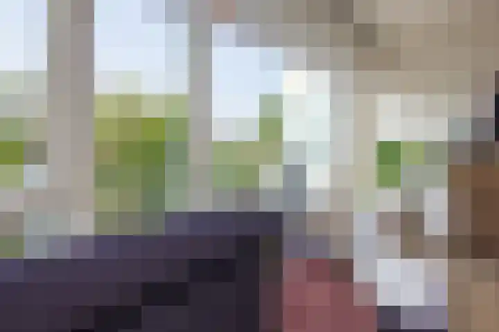 Veldzigtlaan 138 Haarlem thumbnail 15