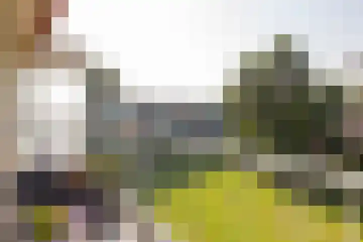 Veldzigtlaan 138 Haarlem thumbnail 16