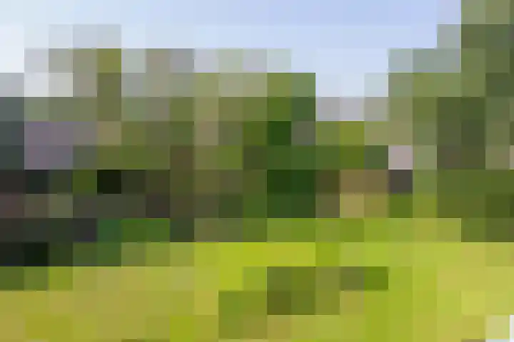 Veldzigtlaan 138 Haarlem thumbnail 17