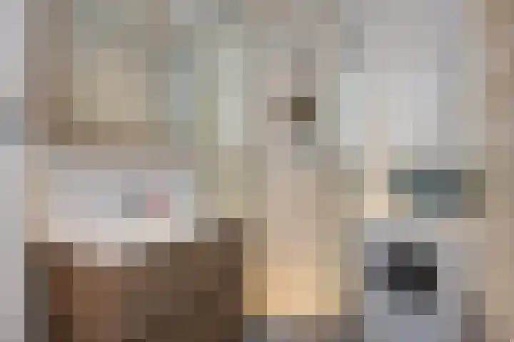 Veldzigtlaan 138 Haarlem thumbnail 19