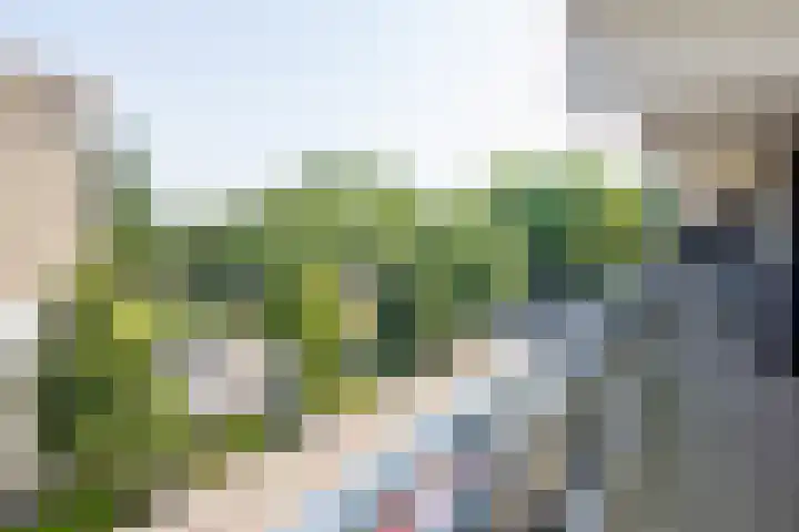 Veldzigtlaan 138 Haarlem thumbnail 29