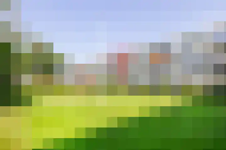 Veldzigtlaan 138 Haarlem thumbnail 33