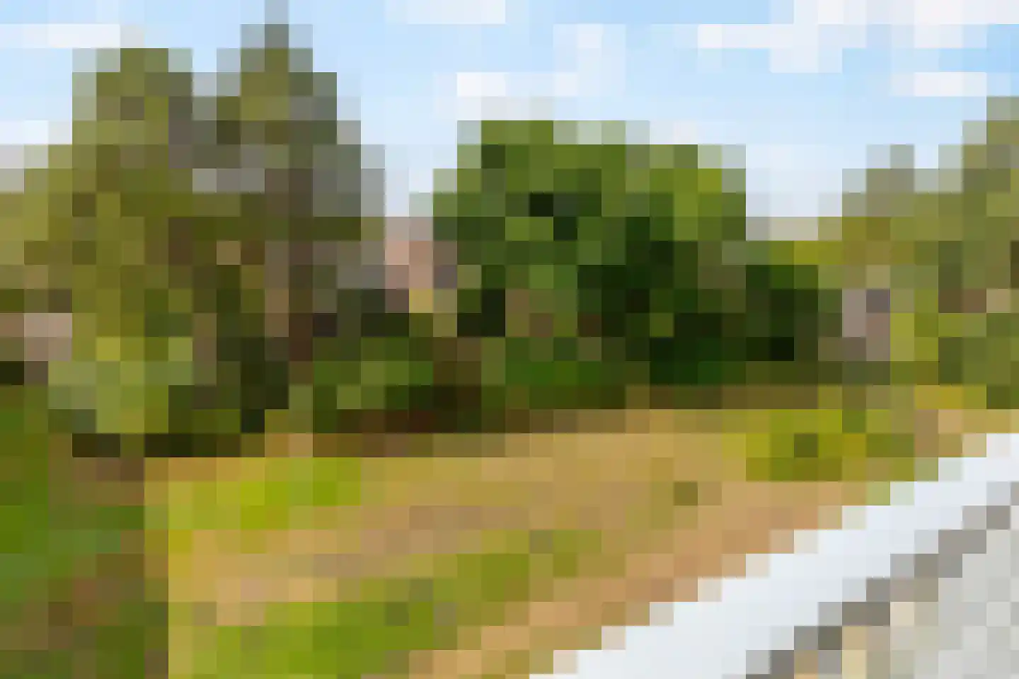 Veldzigtlaan 144 Haarlem thumbnail 13