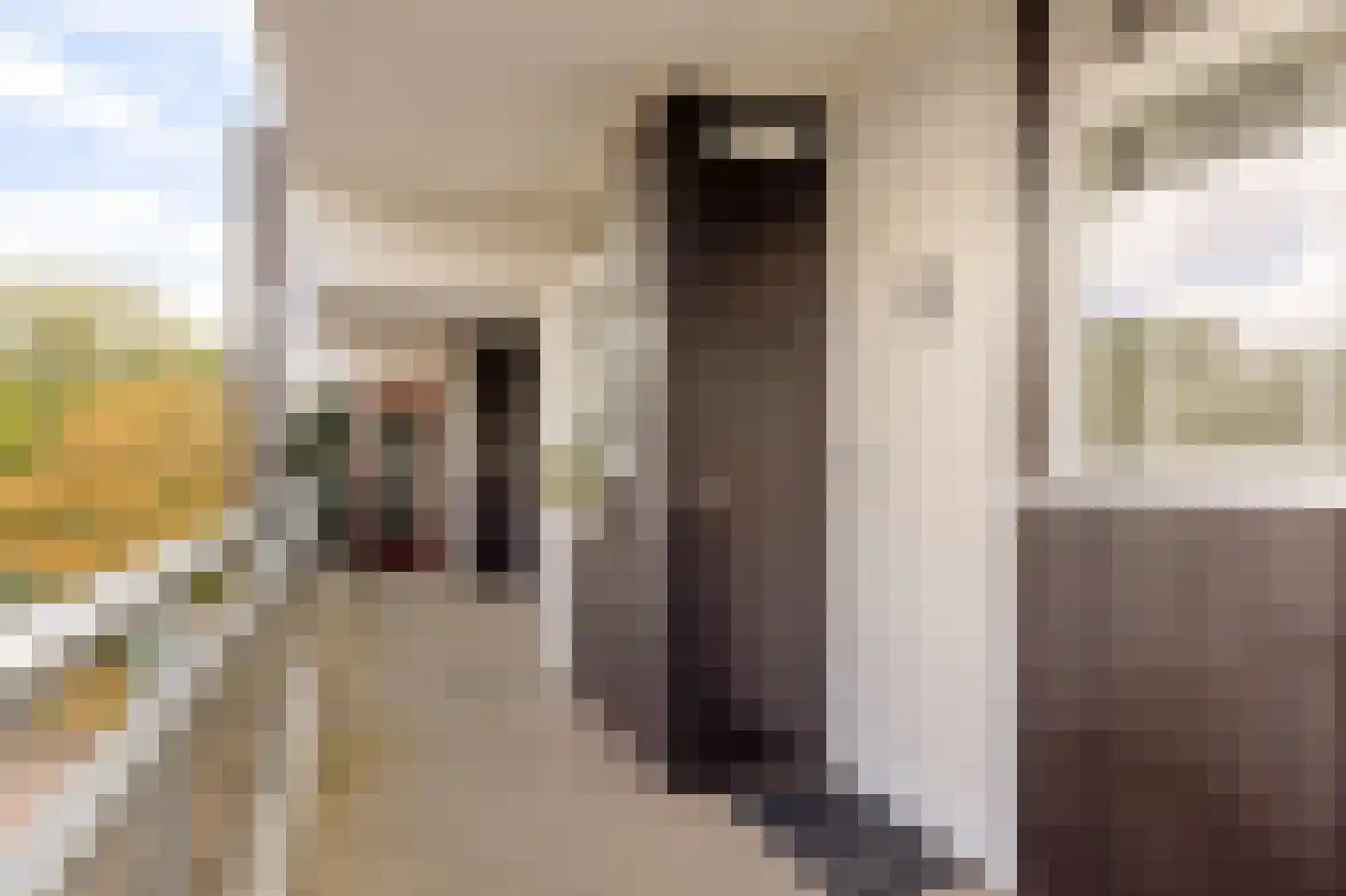 Veldzigtlaan 144 Haarlem thumbnail 4