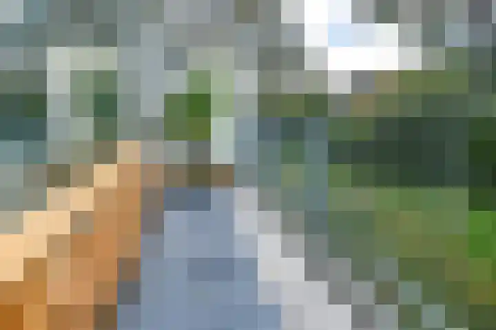 Veldzigtlaan 32 Haarlem thumbnail 16