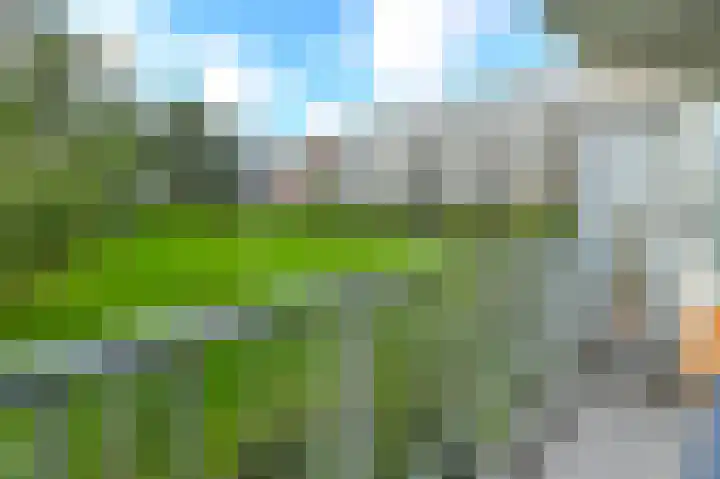 Veldzigtlaan 32 Haarlem thumbnail 18