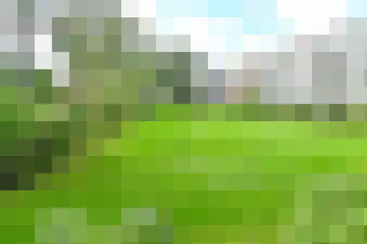 Veldzigtlaan 32 Haarlem thumbnail 19