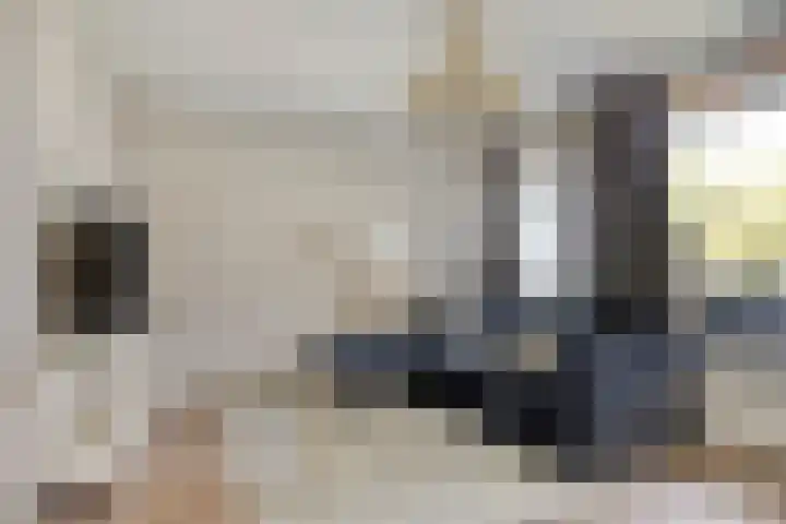Veldzigtlaan 66 Haarlem thumbnail 12