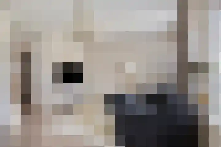 Veldzigtlaan 66 Haarlem thumbnail 13