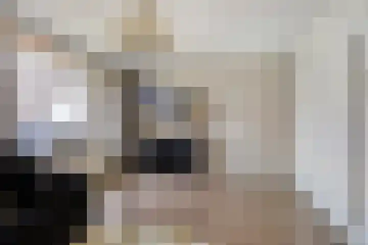 Veldzigtlaan 66 Haarlem thumbnail 14