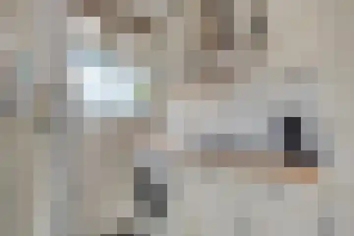 Veldzigtlaan 66 Haarlem thumbnail 17
