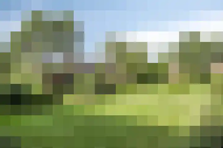 Veldzigtlaan 66 Haarlem thumbnail 23