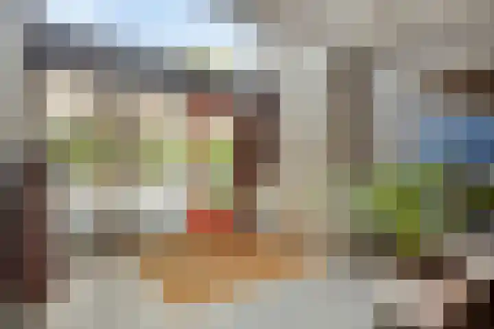 Veldzigtlaan 66 Haarlem thumbnail 4