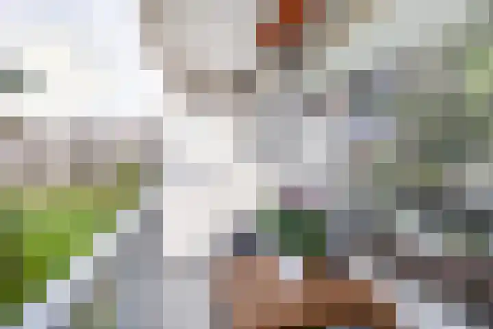 Veldzigtlaan 82 Haarlem thumbnail 14