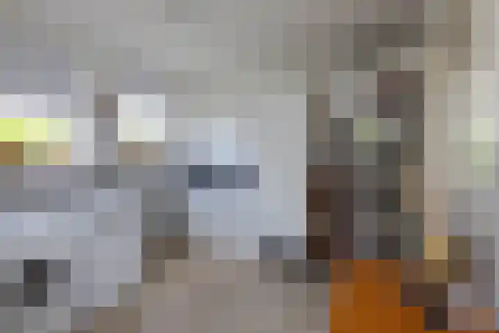 Veldzijde 3 Deurningen thumbnail 13