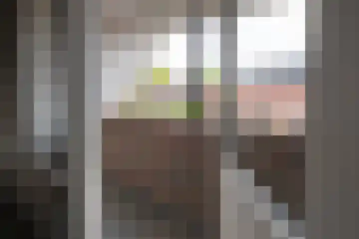 Veldzijde 3 Deurningen thumbnail 19
