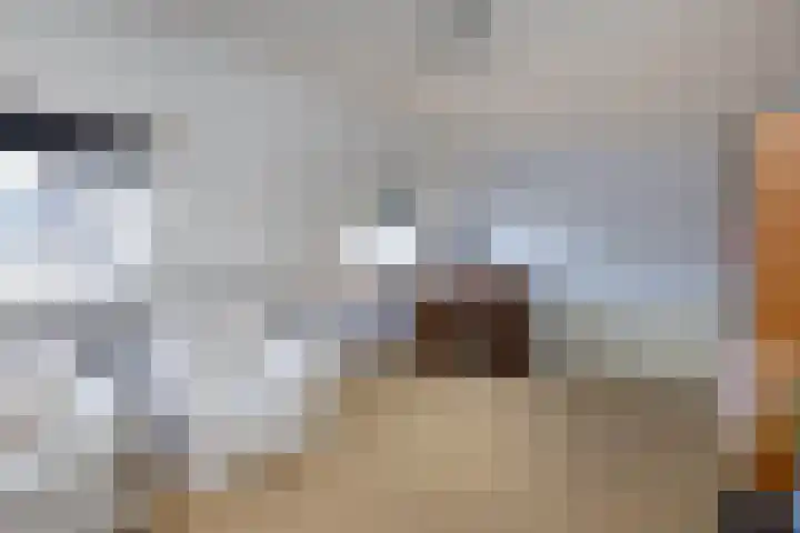 Veldzijde 3 Deurningen thumbnail 23