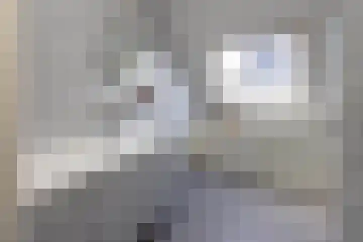 Veldzijde 3 Deurningen thumbnail 26