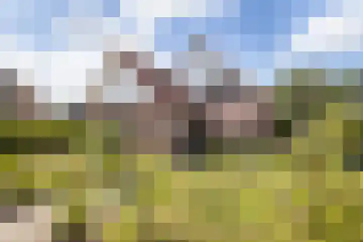 Veldzijde 3 Deurningen thumbnail 38