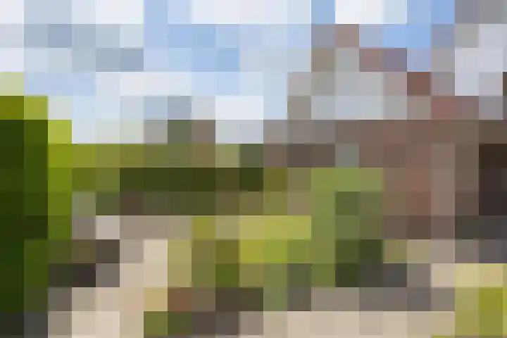 Veldzijde 3 Deurningen thumbnail 40