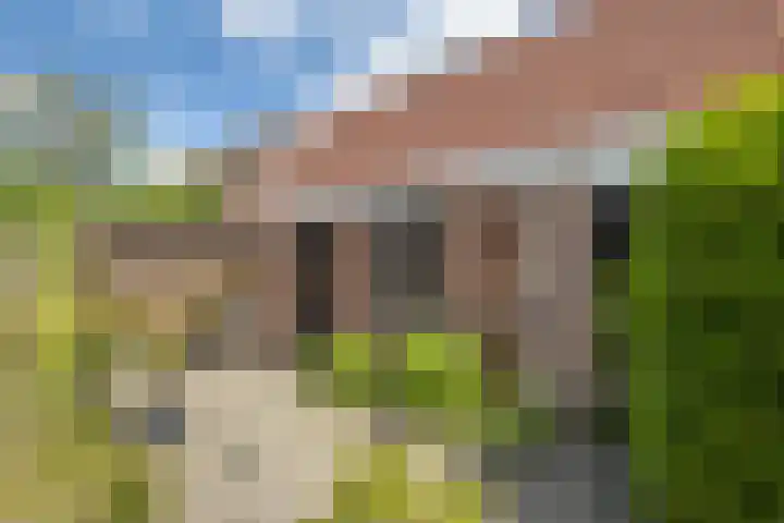 Veldzijde 3 Deurningen thumbnail 42