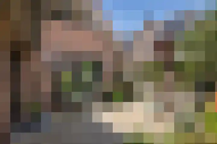 Veldzijde 3 Deurningen thumbnail 44