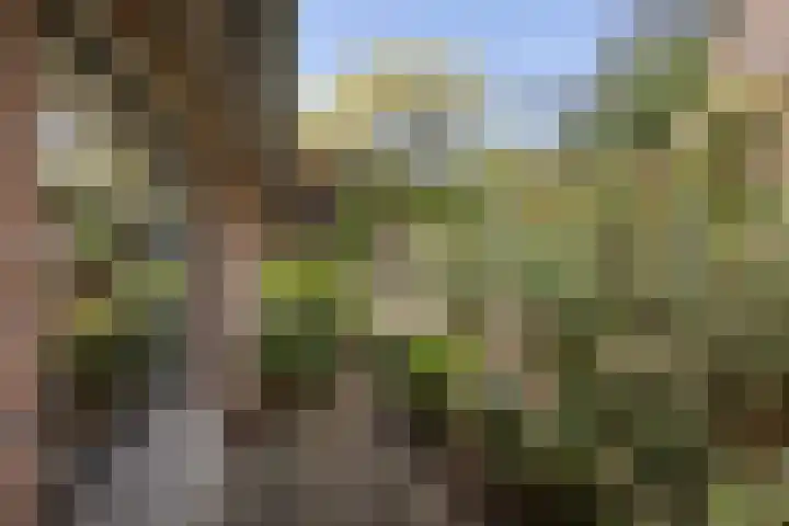 Veldzijde 3 Deurningen thumbnail 45