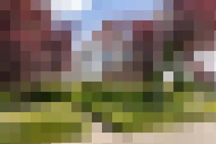 Veldzijde 3 Deurningen thumbnail 48