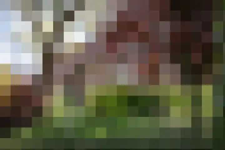 Veldzijde 3 Deurningen thumbnail 49