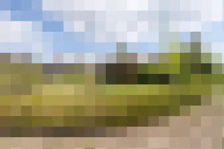 Veldzijde 3 Deurningen thumbnail 50