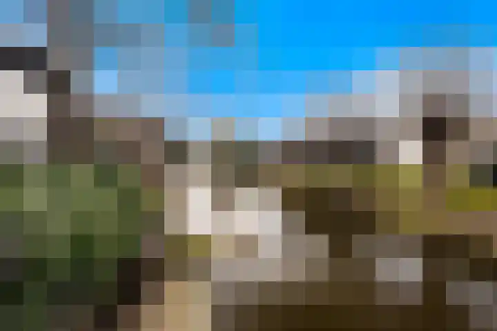 Veldzoom 12 Stolwijk thumbnail 10