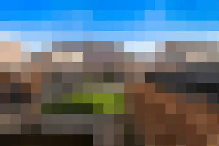 Veldzoom 12 Stolwijk thumbnail 12