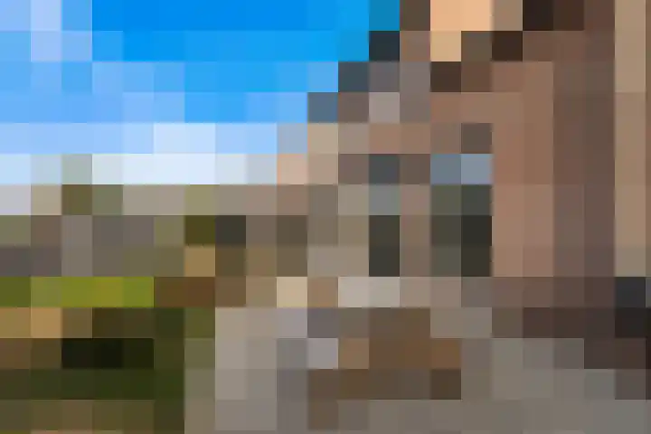 Veldzoom 12 Stolwijk thumbnail 15