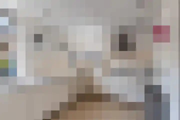 Veldzoom 12 Stolwijk thumbnail 22