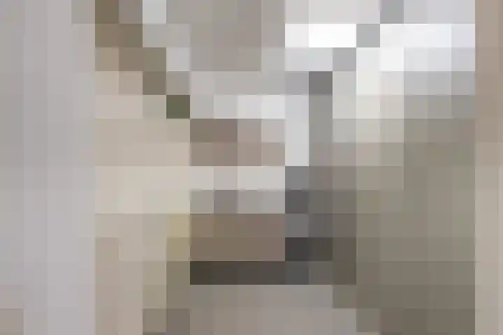 Veldzoom 12 Stolwijk thumbnail 23