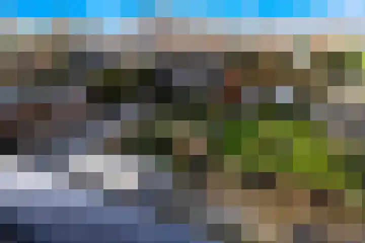Veldzoom 12 Stolwijk thumbnail 29