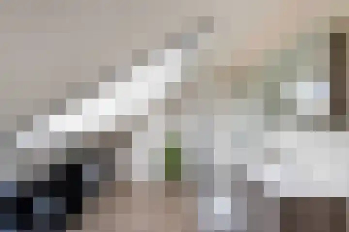 Veldzoom 12 Stolwijk thumbnail 47