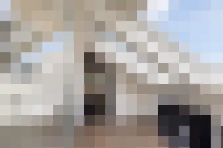 Veldzoom 12 Stolwijk thumbnail 49