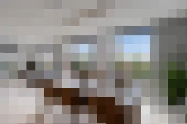 Veldzoom 12 Stolwijk thumbnail 6