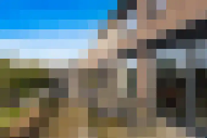 Veldzoom 12 Stolwijk thumbnail 7