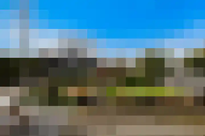 Veldzoom 12 Stolwijk thumbnail 8