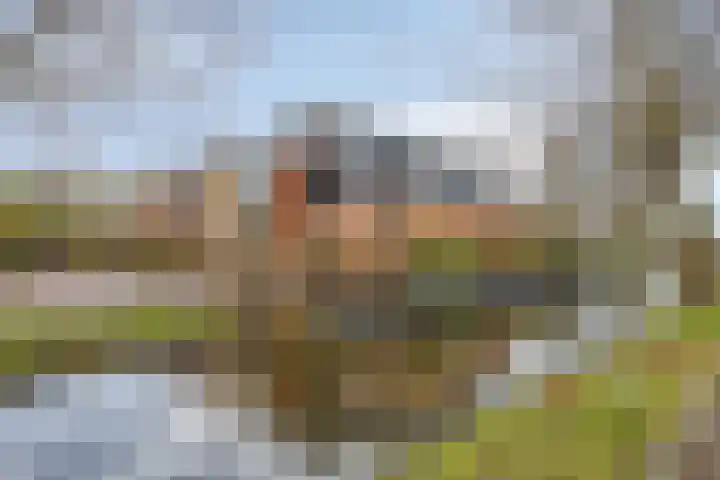 Veldzoom 2 in Reeuwijk