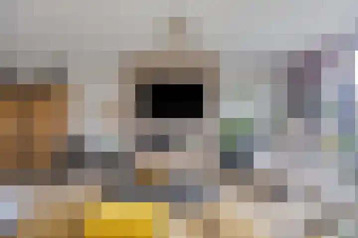 Veldzoom 2 Reeuwijk thumbnail 11