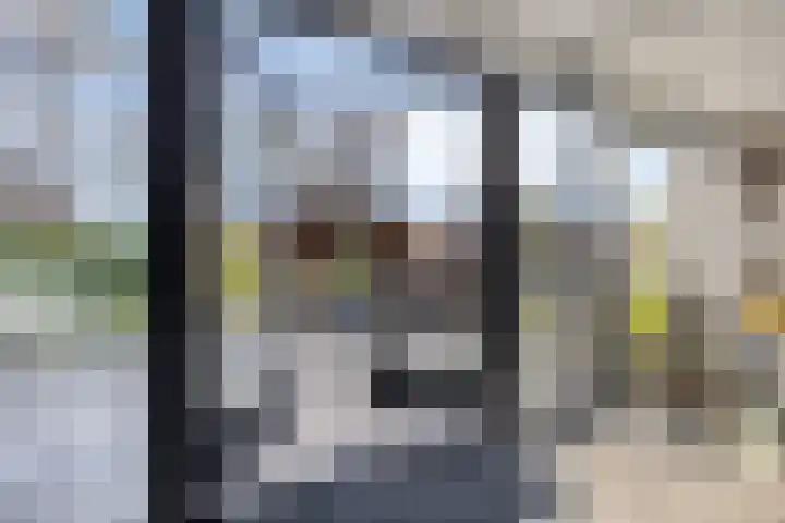 Veldzoom 2 Reeuwijk thumbnail 15