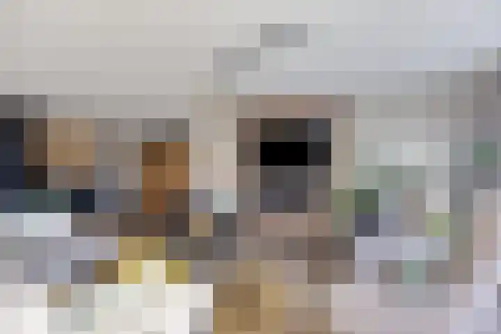 Veldzoom 2 Reeuwijk thumbnail 17