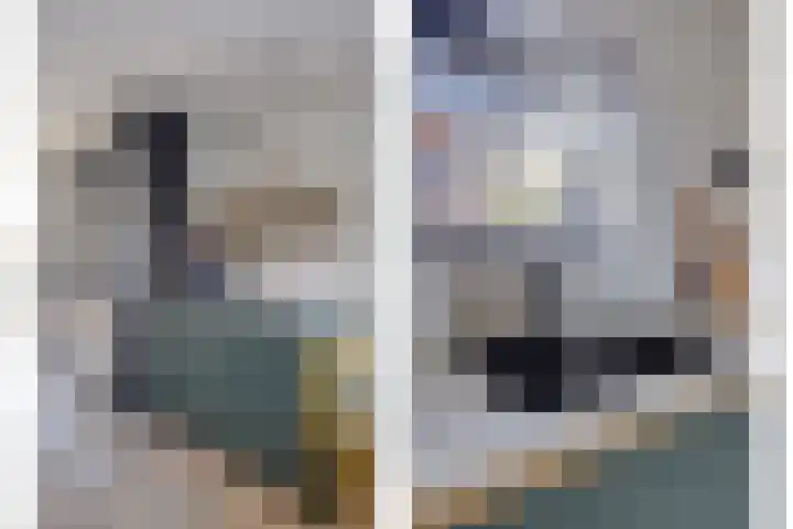 Veldzoom 2 Reeuwijk thumbnail 21