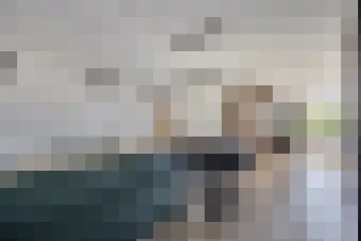 Veldzoom 2 Reeuwijk thumbnail 22