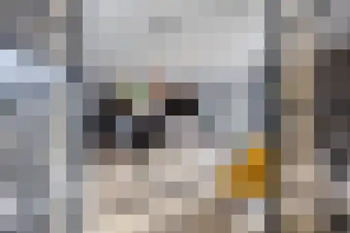 Veldzoom 2 Reeuwijk thumbnail 24